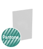 Visitenkarten hoch 5/0 farbig 50 x 90 mm mit einseitigem partiellem UV-Lack <br>einseitig bedruckt (CMYK 4-farbig + 1 Pantone-Sonderfarbe)