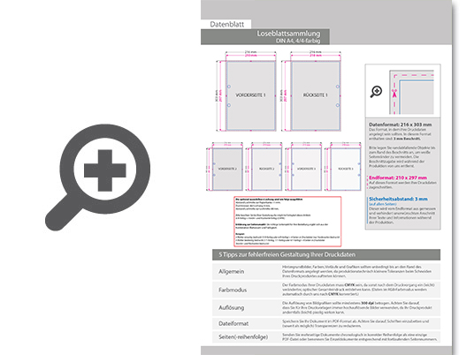 Product Bild loseblattsammlung_din_a4__80_bl__tter_pro_sammlung__vorne_und_hinten_farbig_(4_4)